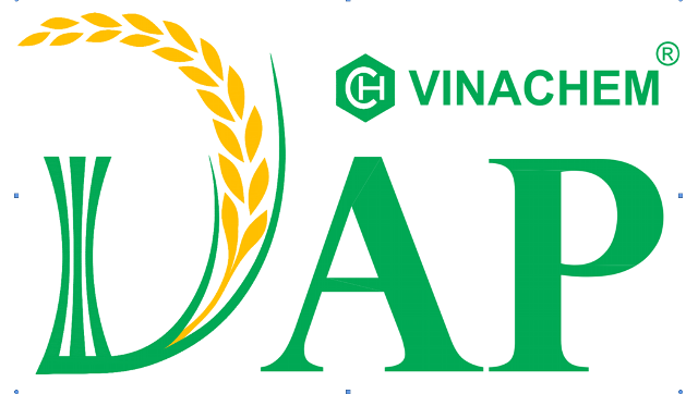 Công ty Cổ phần DAP – Vinachem: Ký Hợp đồng với người có liên quan của Thành viên Hội đồng quản trị